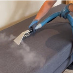 Professional sofa cleaning in London: why steam cleaning is essential